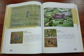 中国西南野生动物图谱 鸟类卷（上）