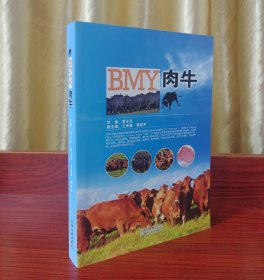 BMY肉牛