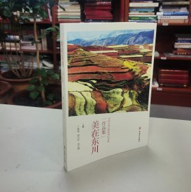 美在东川：中国文化记者东川行采风作品集