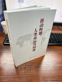 推动构建人类命运共同体