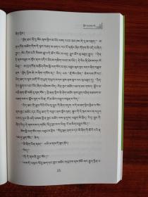 新时代藏文原创文学系列·绿宝石丛书(第二辑)白毡袍：藏文