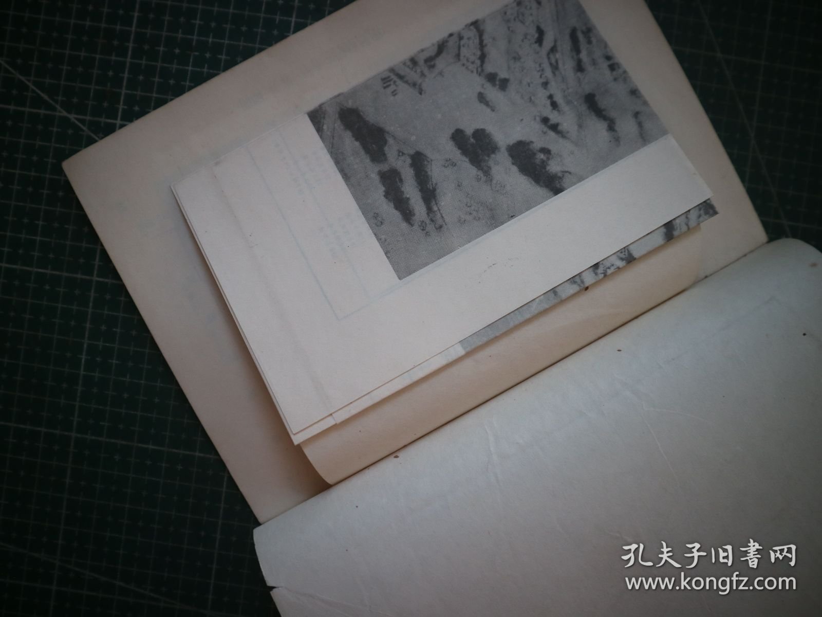 圆明园园史简介