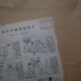 农业科学通讯〔1956年第8期〕