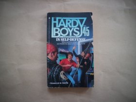 The Hardy Boys Casefiles  45