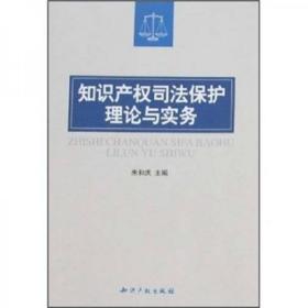 知识产权司法保护理论与实务