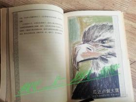 申赋渔 亲笔签名本：《逝者如渡渡》精装彩色插图本 2014年中国最美的书，冰心文学奖与金陵文学奖获奖作品，朱赢椿 设计。