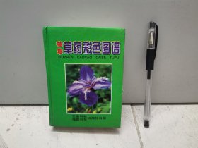 袖珍草药彩色图谱（2000年一版一印）
