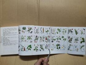 名医方(2017年一版一印)