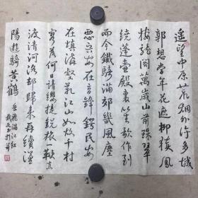 陈武文书法花鸟名人字画书画164