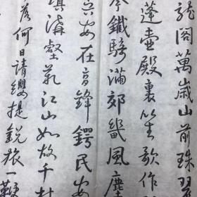 陈武文书法花鸟名人字画书画164
