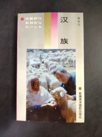 中国新疆民族民俗知识丛书  汉族
