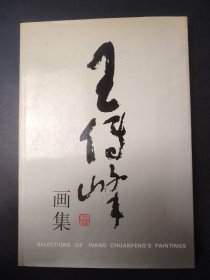 王传峰画集