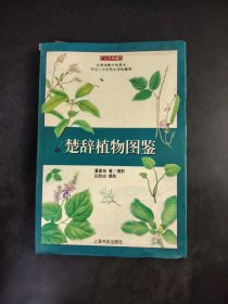 楚辞植物图鉴