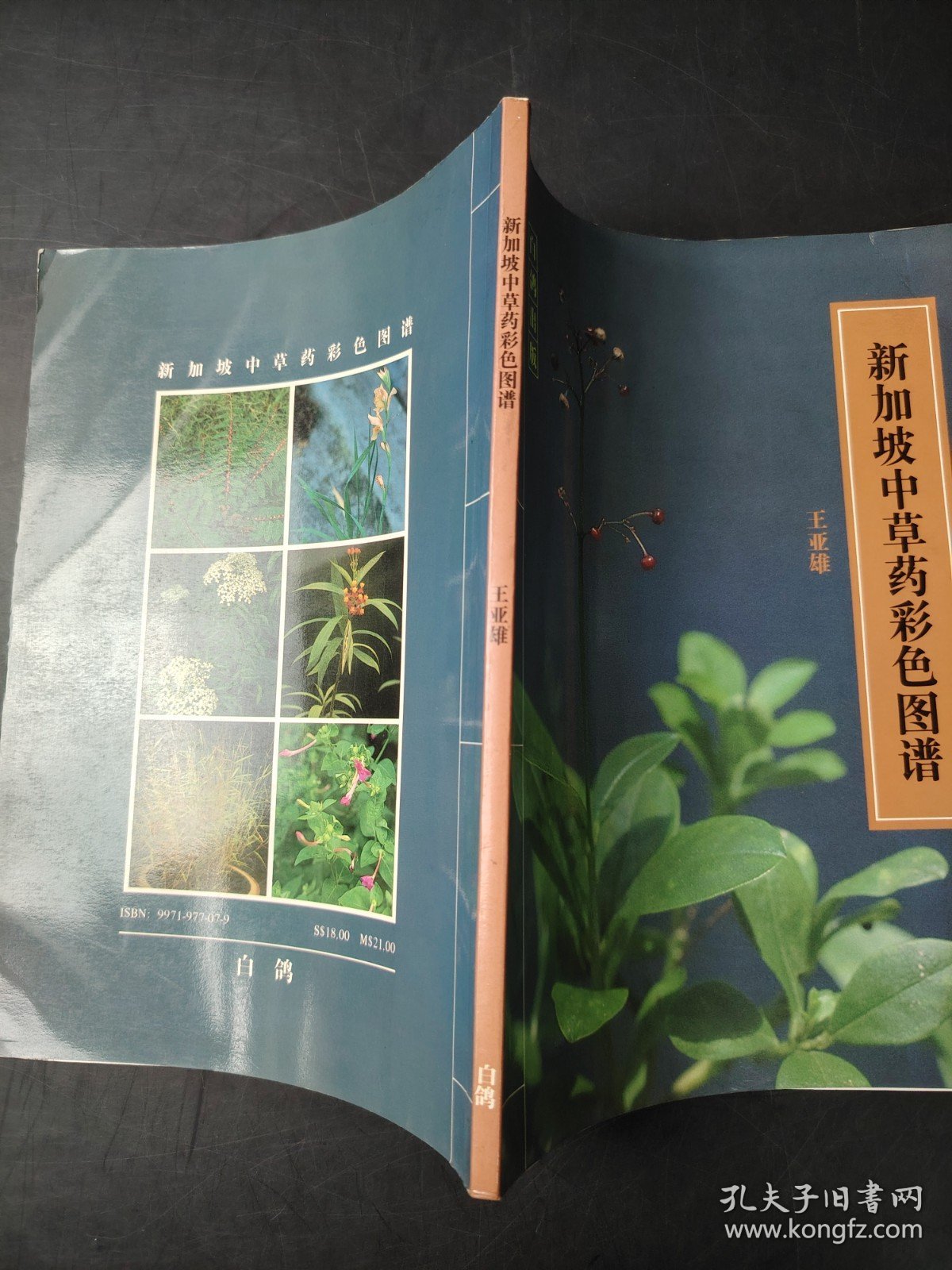 新加坡中草药彩色图谱