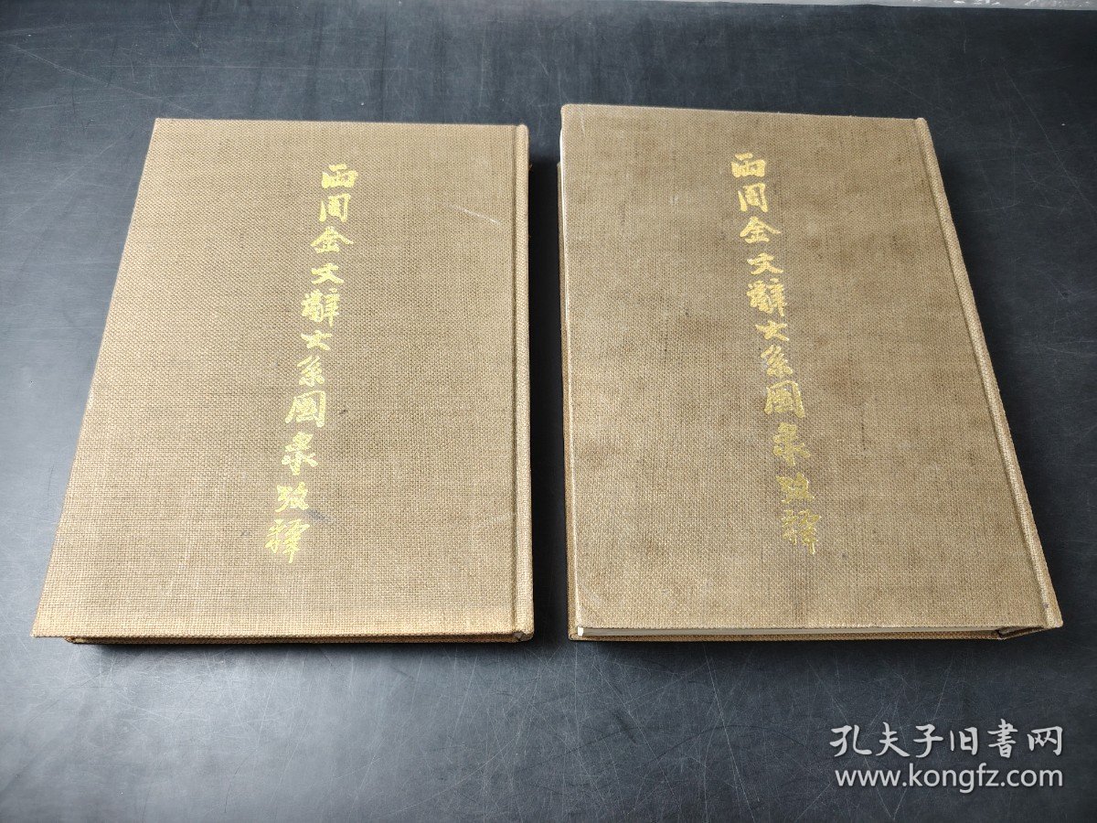 两周金文辞大系图录考释 上下