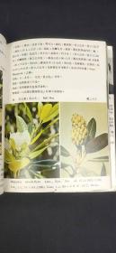 台湾热带植物彩色图鉴（全3册）