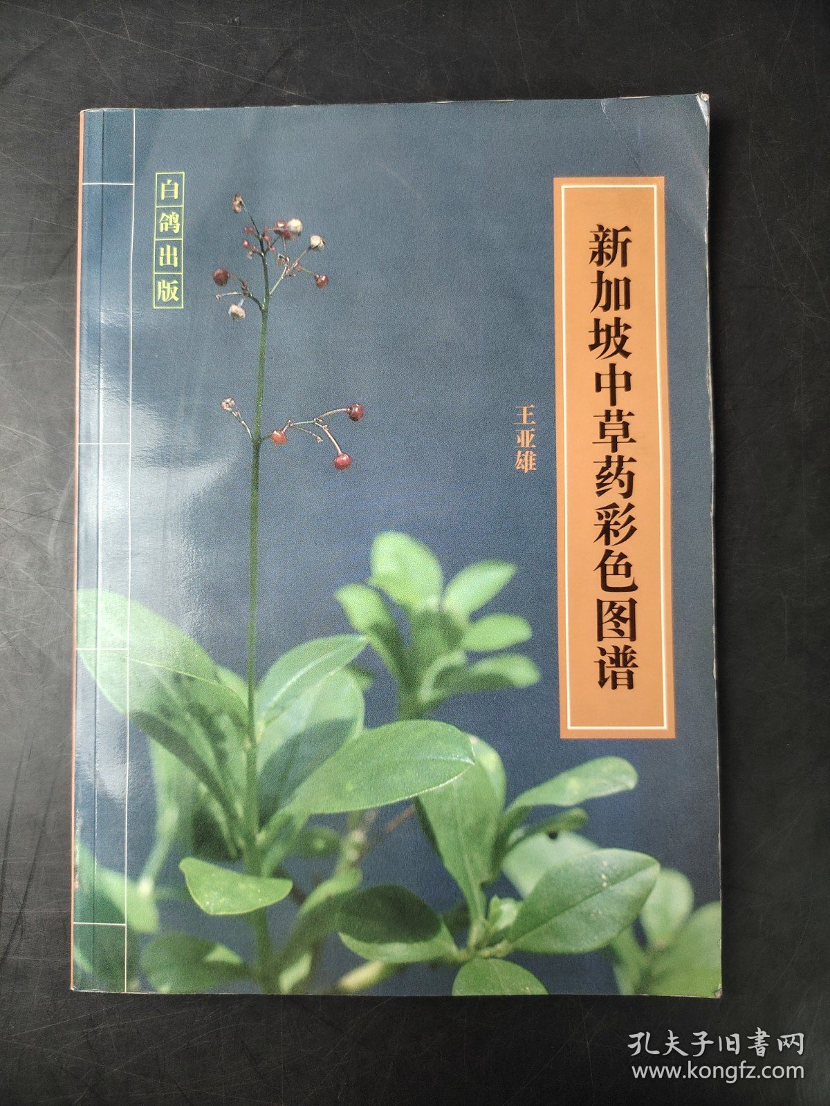 新加坡中草药彩色图谱