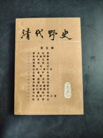 清代野史 (第五辑)