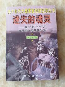 迷失的魂灵:湖北荆沙特大抢劫团伙案侦破纪实