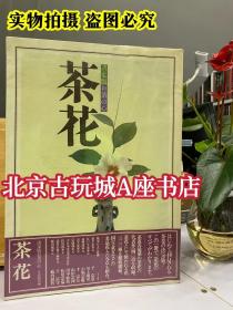 原版图书 茶花 : 决定版お茶の心