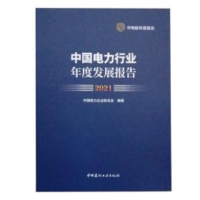 中国电力行业年度发展报告20219787516032619