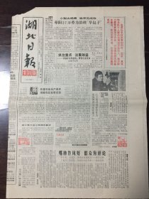 湖北日报：农村版 1988.1.2（8开4版）