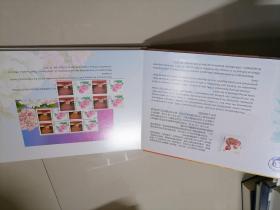 中华护理学会建会100周年（1909-2009）邮票纪念册，热烈庆祝中华护理学会加入国际护士会邮票珍藏 2本邮票册合售（册内邮票和纪念封完整不缺）