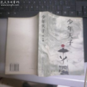 北京长篇小说创作丛书：少年天子.