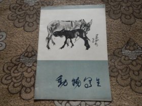 黄胄动物写生