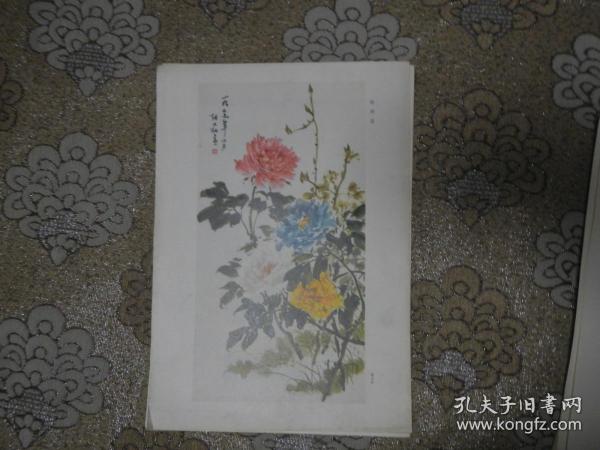 中国画：牡丹花——张大壮 作【8开】