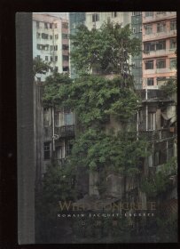 wild concrete 石林独秀（香港住宅上的树）