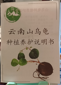 【收藏品】“立茵堂”云南山乌龟种植养护说明书 编号：B00067