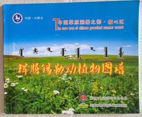 辉腾锡勒动植物图谱