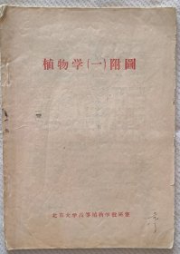 植物学（一）附图
