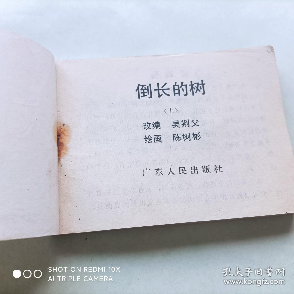 连环画：倒长的树（上）