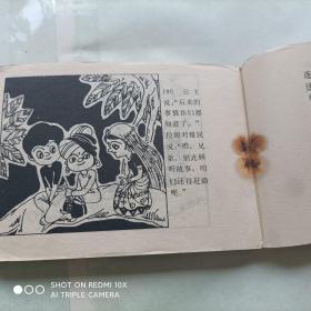 连环画：倒长的树（上）