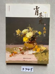 肖喜龙色调