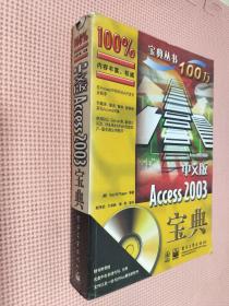 中文版Access 2003宝典