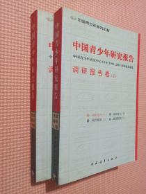 中国青少年研究报告【调研报告 上下】