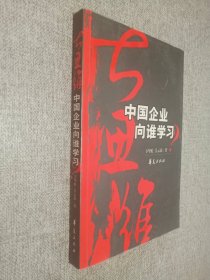 大思维：中国企业向谁学习.