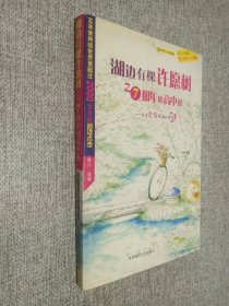 湖边有棵许愿树之7那年的高中班