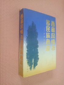 西部风情与多民族色彩