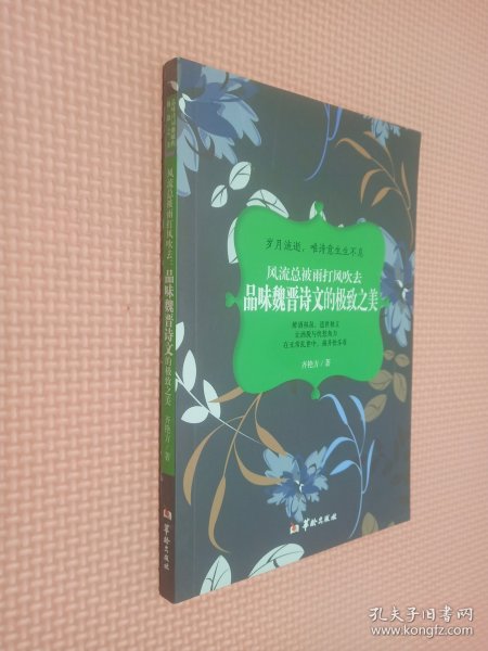 风流总被雨打风吹去：品味魏晋诗文的极致之美