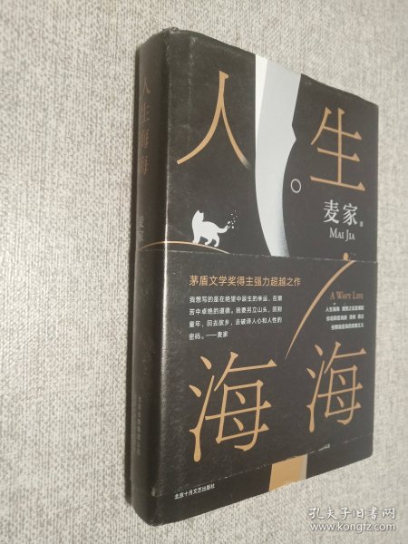 麦家：人生海海（茅盾文学奖得主麦家2019年强力之作）