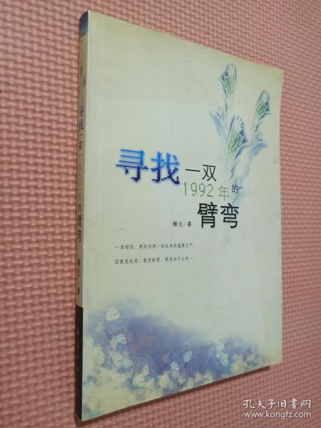 寻找一双1992年的臂弯：新经典文库