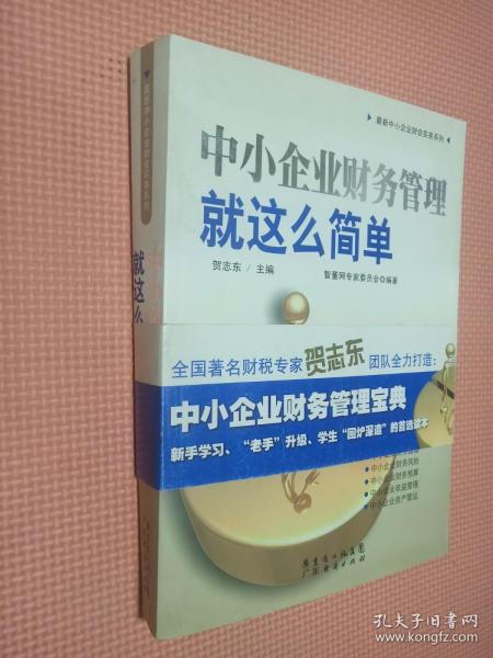 中小企业财务管理就这么简单