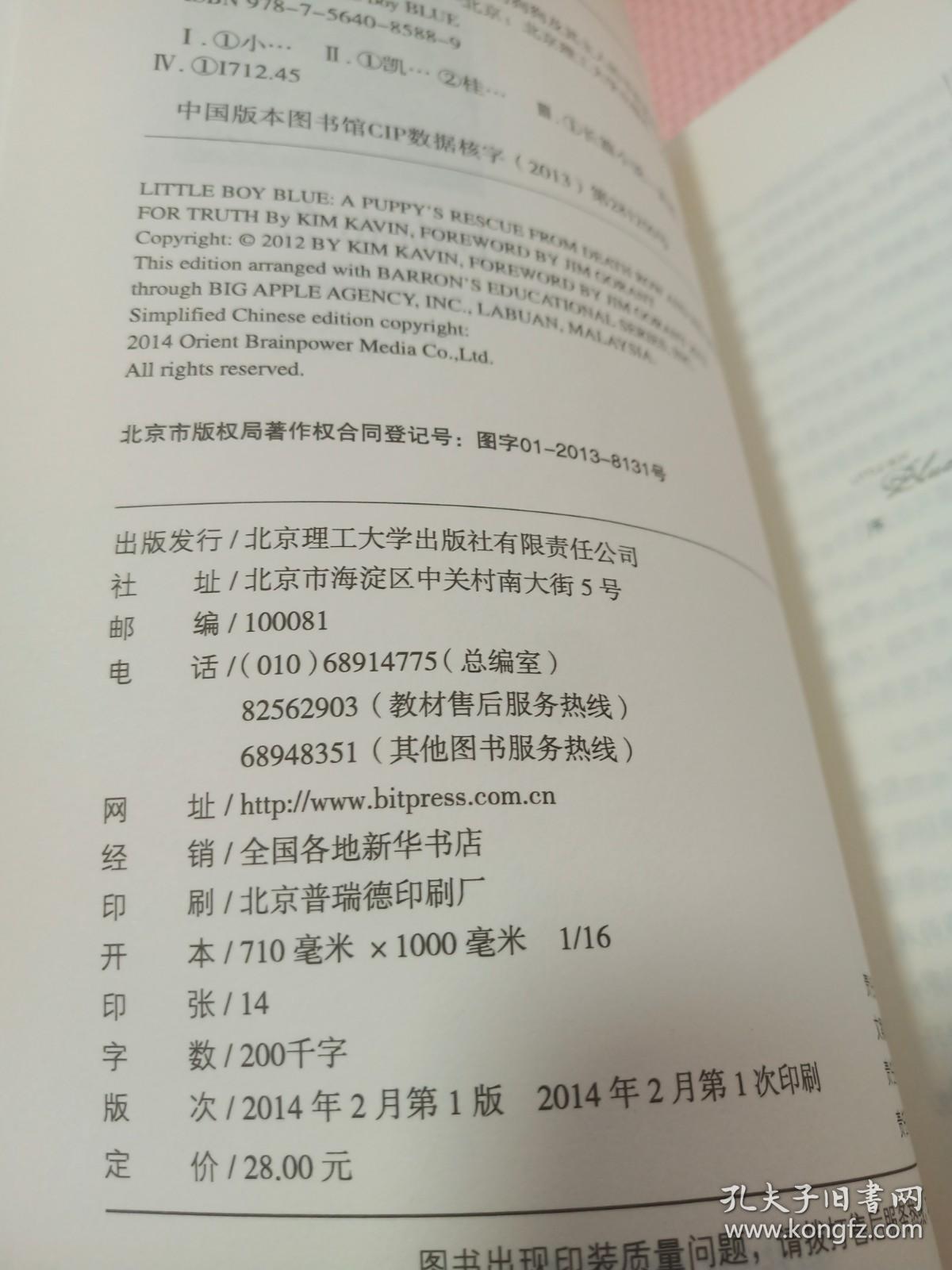 小狗布鲁：一只从死亡线救回的狗狗及其主人的寻找真相之旅