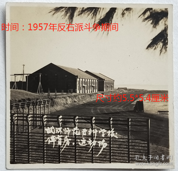 老照片：武汉师范专科学校（今湖北大学）—体育房、运动场，1957年（参照同一批）。——校简史：前身1931年创立湖北省立教育学院，后历经国立湖北师范学院、湖北省教育学院、湖北省教师进修学院、湖北师范专科学校等。1955年湖北师范专科学校（语文、历史两科）改建为武汉师范专科学校。1957年湖北师范专科学校撤销，并入武汉师范专科学校。1958年更名武汉师范学院。1984年更名湖北大学。【桐阴委羽系列】