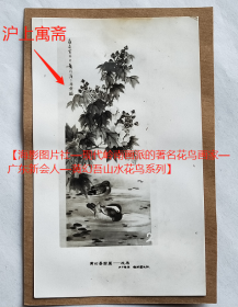 老照片：黄幻吾国画，画于沪上寓斋。——人物简介：黄幻吾，名罕，字幻吾，号罕僧，晚年称罕翁。广东新会人。早年临《芥子园画谱》兼画肖像，中学毕业后从事印刷及广告美术工作。1949年由菲律宾回国后执教于苏州美术专科学校和上海轻工业学校。【桐阴委羽—海影图片社—现代岭南画派的著名花鸟画家—广东新会人—黄幻吾山水花鸟系列】