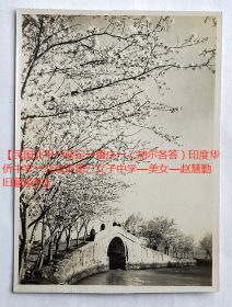 老照片：无锡太湖—鼋头渚—长春桥（建于1936年），樱花盛开季节。【民国北平→保定→重庆→（加尔各答）印度华侨中学→北京市第三女子中学—美女—赵*勤旧藏系列】